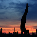 movie / tejas 2013ss official web