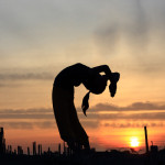 movie / tejas 2013ss official web