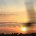 movie / tejas 2013ss official web