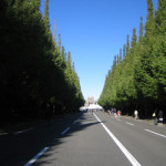 CANDLE / 100% design TOKYO exhibition